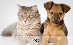 pet